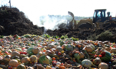 40% dintre alimentele din UE ajung la gunoi