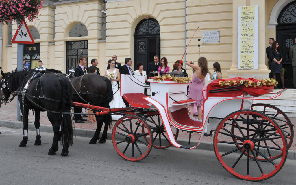 Cine a „proiectat” ecartamentul căii ferate