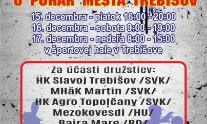 Academia Minaur, turneu în Slovacia