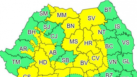 Cod galben în zona de munte a Maramureșului