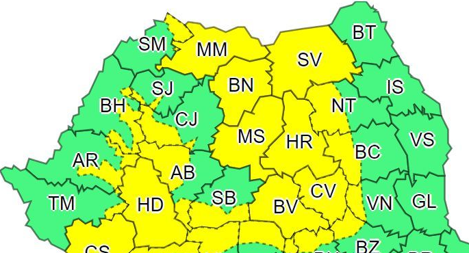 Cod galben în zona de munte a Maramureșului
