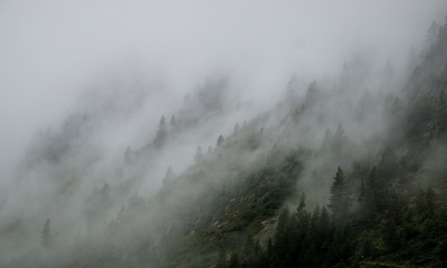 Ceață și vizibilitate redusă în Pasul Prislop