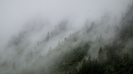 Ceață și vizibilitate redusă în Pasul Prislop