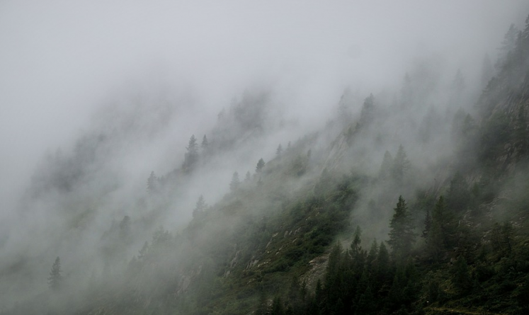 Ceață și vizibilitate redusă în Pasul Prislop