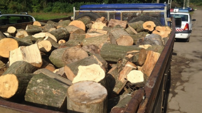 O autoutilitară şi lemnul transportat ilegal – confiscate de poliţiştii din Borșa