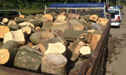 O autoutilitară şi lemnul transportat ilegal – confiscate de poliţiştii din Borșa