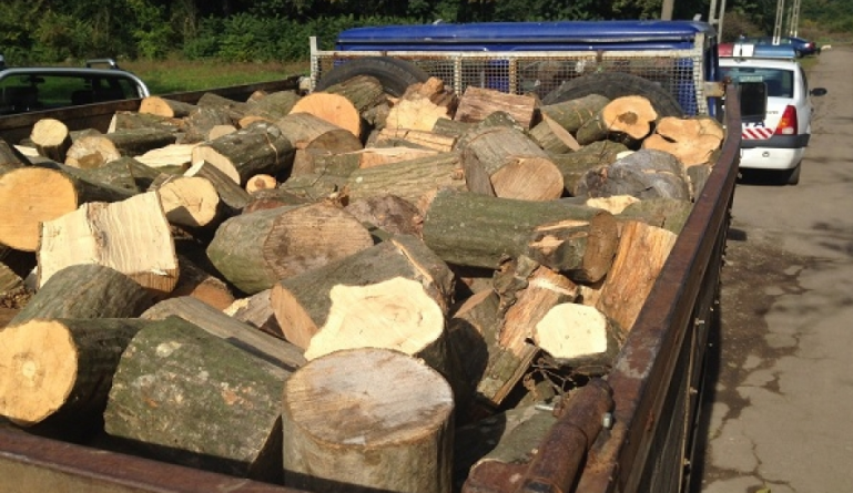 O autoutilitară şi lemnul transportat ilegal – confiscate de poliţiştii din Borșa