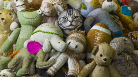 Spectatorii partidei de handbal Minaur–Dinamo au voie să arunce cu obiecte în teren