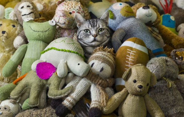 Spectatorii partidei de handbal Minaur–Dinamo au voie să arunce cu obiecte în teren