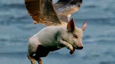 Aeroportul, de la ”când o zbura porcul”, la când o zbura avionul