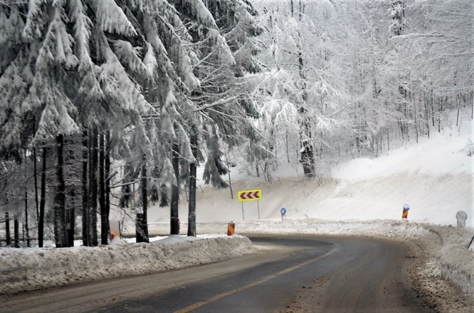 Indicatoare pentru interzicerea parcării pe DJ 109F în zona pârtiilor din Cavnic