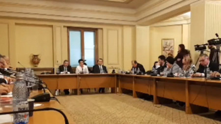Sorina Pintea  i-a cucerit pe parlamentarii USR din Comisia pentru Sănătate și Familie (VIDEO)