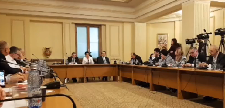 Sorina Pintea  i-a cucerit pe parlamentarii USR din Comisia pentru Sănătate și Familie (VIDEO)