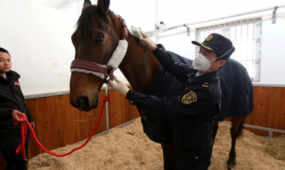 Președintele francez mută cu calul, cel chinez dă șah cu carantina