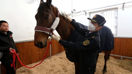 Președintele francez mută cu calul, cel chinez dă șah cu carantina