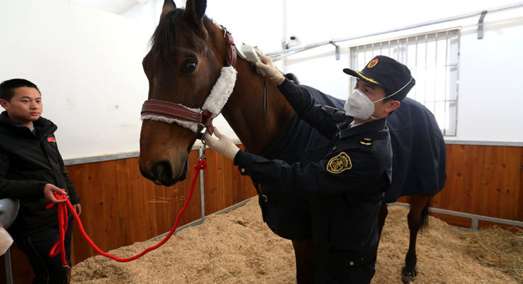 Președintele francez mută cu calul, cel chinez dă șah cu carantina
