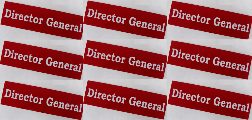 Se umple primăria băimăreană de directori generali