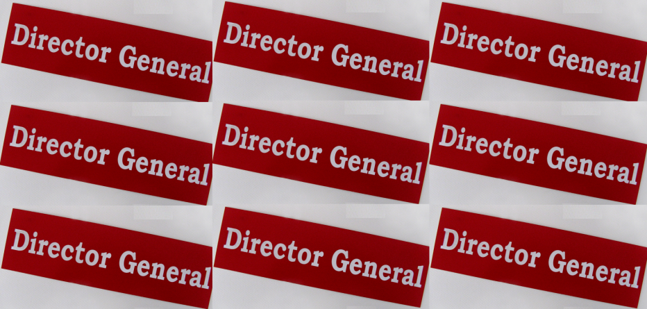 Se umple primăria băimăreană de directori generali