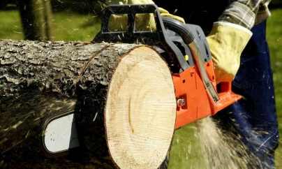 Vecinul vigilent l-a prins pe hoțul de drujbe