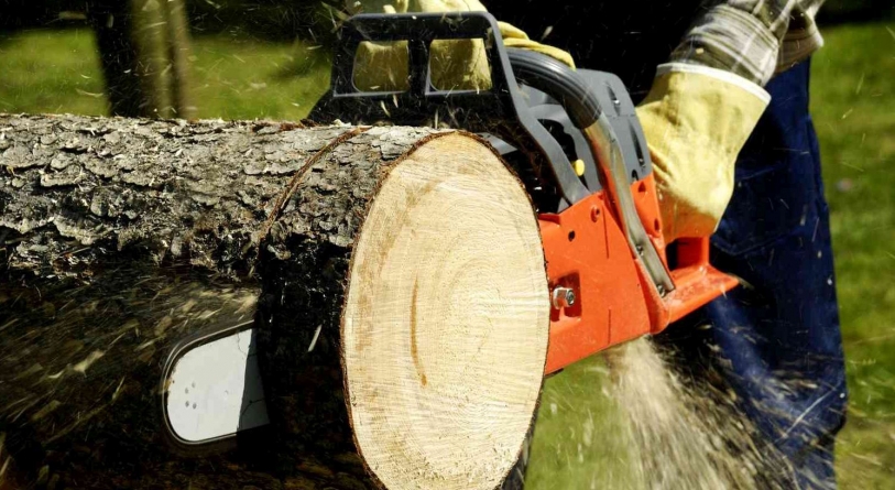 Vecinul vigilent l-a prins pe hoțul de drujbe