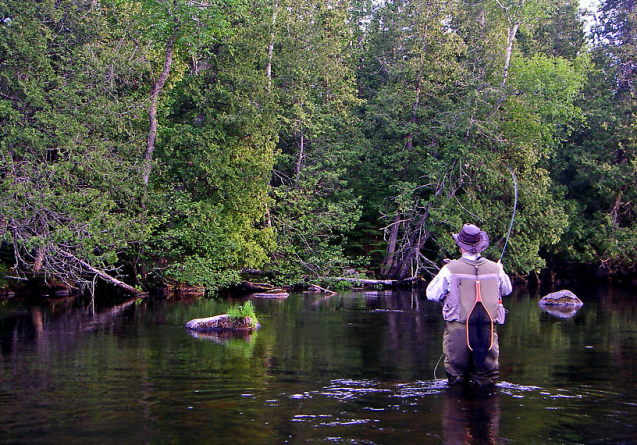 AJVPS Maramureș gestionează cele mai multe zone de pescuit recreativ din județ
