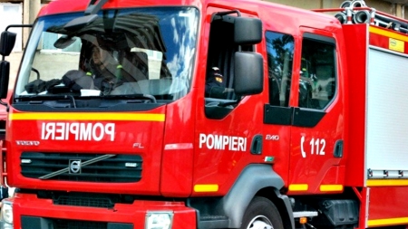Startul pompierilor în noul an: un cățel salvat din Săsar și intervenții la 10 incendii