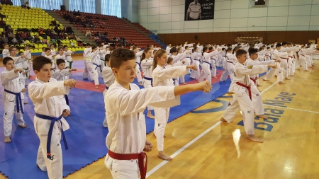 Stagiu național tehnic de taekwon-do în Baia Mare