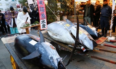 Un cogeamite tonul, vândut la un preț de iaht