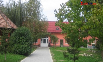 Rețea maramureșeană de exploatare sexuală a minorelor, destructurată în Banat