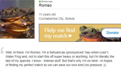 Un broscoi pe nume Romeo își caută o Julietă pe internet, ca să-și salveze specia