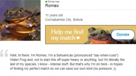 Un broscoi pe nume Romeo își caută o Julietă pe internet, ca să-și salveze specia
