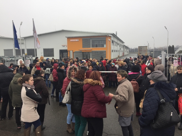 Grevă la Weidmuller Tăuții Măgherăuș (VIDEO și GALERIE FOTO)