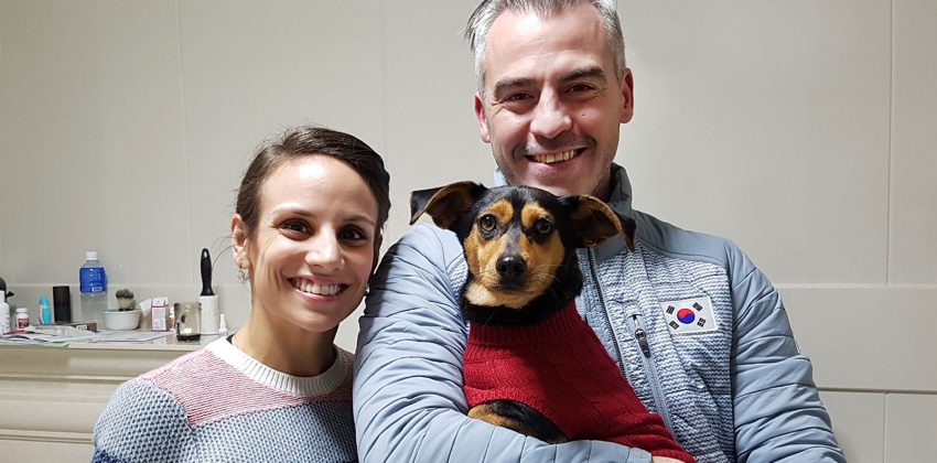 Doi câini care urmau să fie gătiți la un restaurant au fost salvați de o sportivă de la JO (VIDEO)