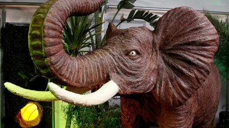 Alo, alo, n-ați văzut un cal maro? Nu, dar un elefant da