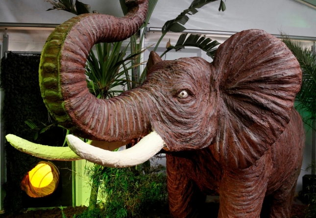 Alo, alo, n-ați văzut un cal maro? Nu, dar un elefant da