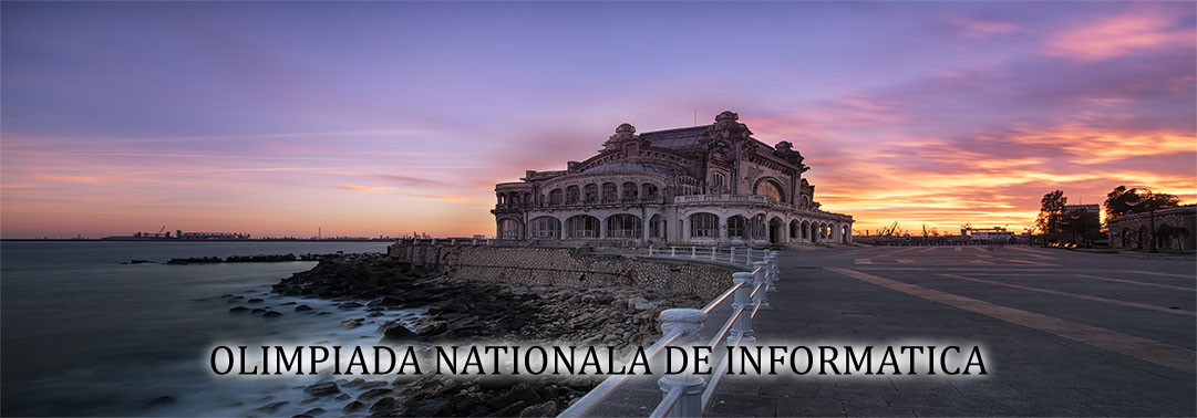 Liceeni maramureșeni în formă la informatică, la olimpiada națională