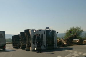 acc Mesteacan 21.04.2018