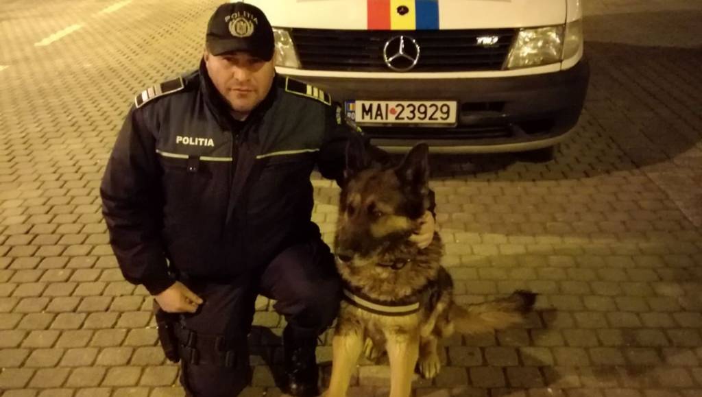 Cât ai zice ham, câinele de urmă Ryky a recuperat bijuteriile furate