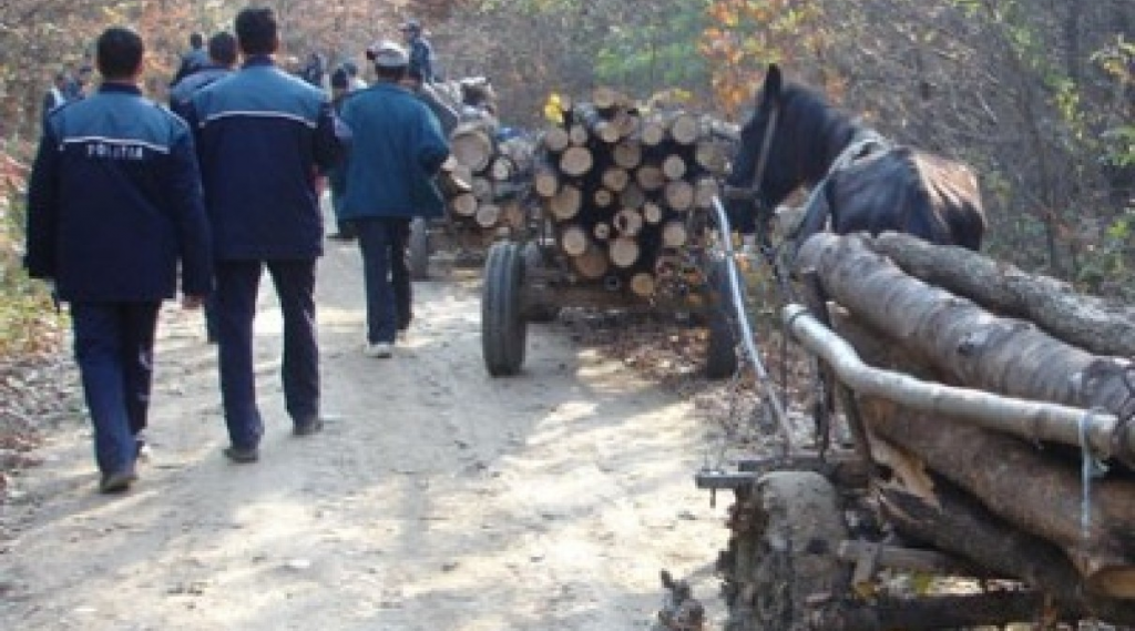 Unde dai și unde crapă…materialul lemnos