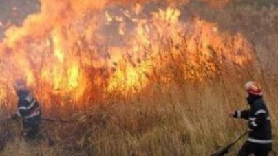 De Paști, focul a mistuit vegetația uscată de pe patru hectare