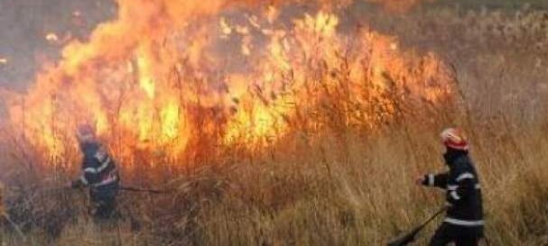 10 incendii în weekend, opt fiind de vegetație uscată; Sfaturile pompierilor maramureșeni