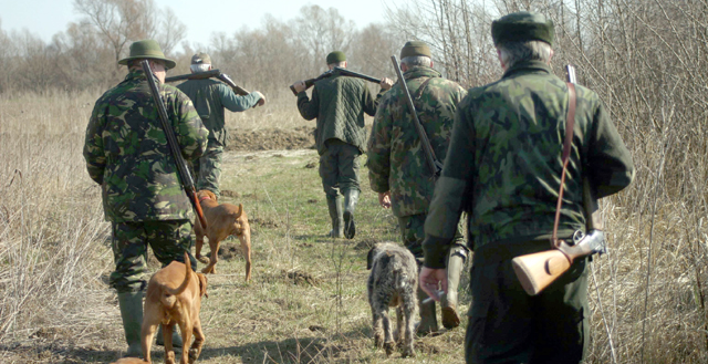 Patru amenzi însumând 10.000 de lei, pentru infracțiuni legate de vânătoare