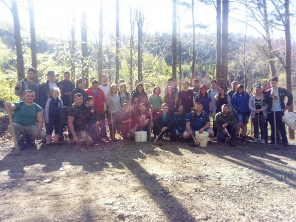 Asta da acțiune pentru mediu, s-au plantat peste 1.500 de puieți de paltin și molid