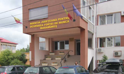Peste 260 de participanţi la cursurile organizate de AJOFM Maramureș în primul semestru al anului 2023