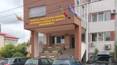 Peste 450 de oferte de muncă
