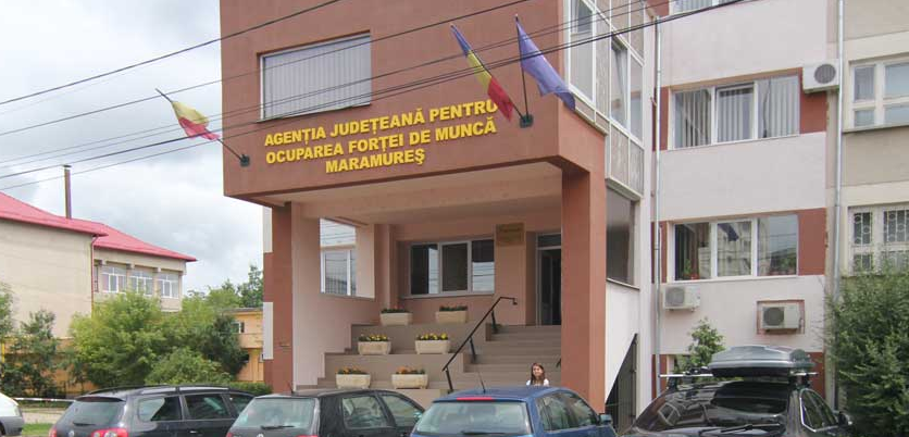 În ianuarie 2021: 271 de persoane au fost angajate prin intermediul AJOFM Maramureș