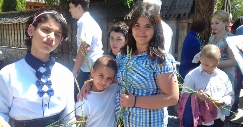 Porți deschise la două case de tip familial