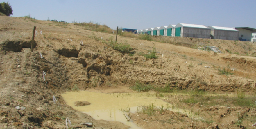 Alunecările de teren de la depozitul ecologic de la Sârbi s-au extins și pe teritoriul comunei (GALERIE FOTO)