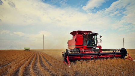 Prioritățile de finanțare din agricultură nu se știu deocamdată