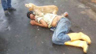 Cum își apără un câine stăpânul beat criță care doarme în mijlocul drumului (VIDEO)